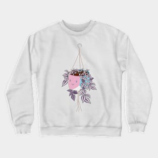 tradscantia plant in trans pride femme pot Crewneck Sweatshirt